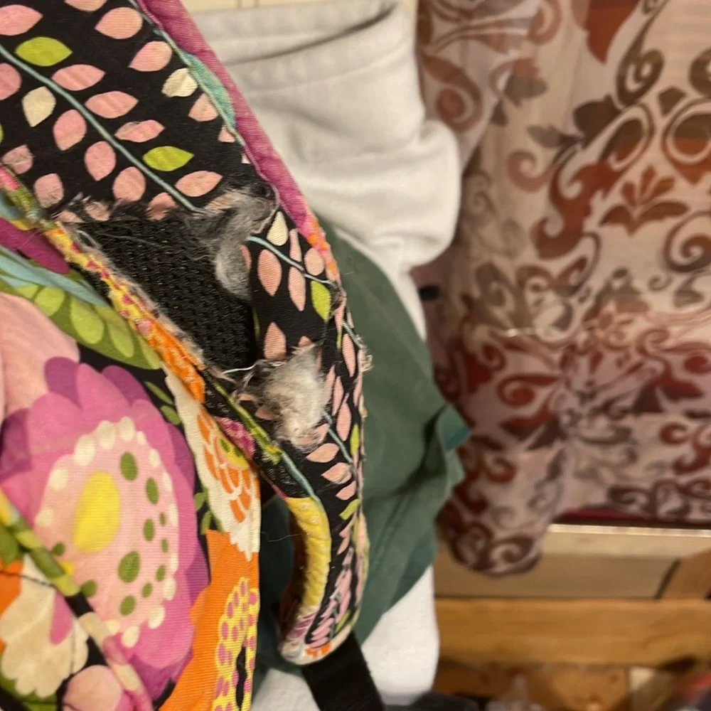 Vera Bradley Backpack Floral Pattern - Picture 5 of 6